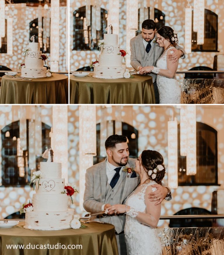 Steven and Elizabeth cut their tiered wedding cake